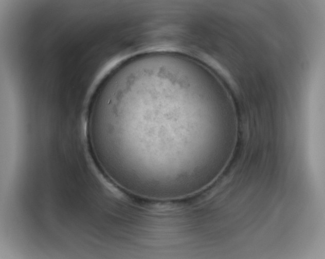 X0000115851416200911201604