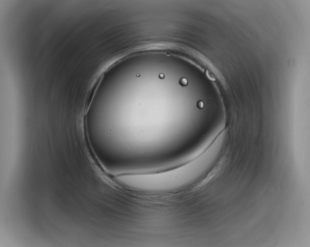 X0000115851417200911201604