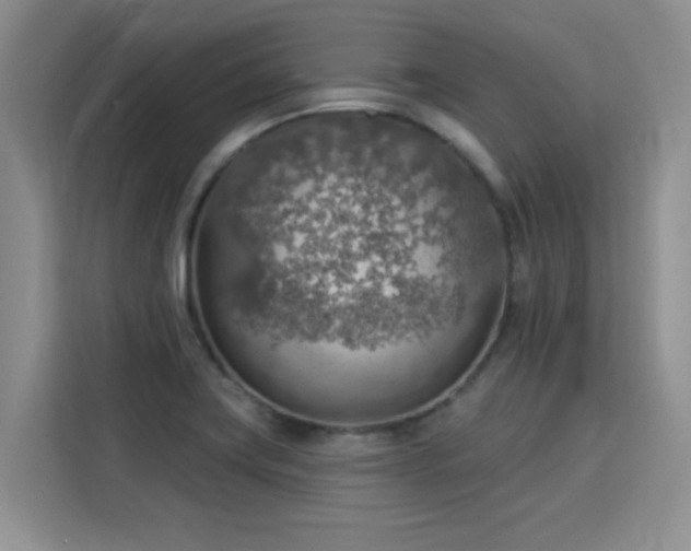 X0000115851419200911201604