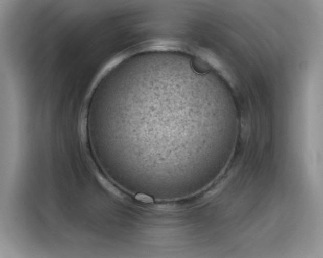 X0000115851421200911201604