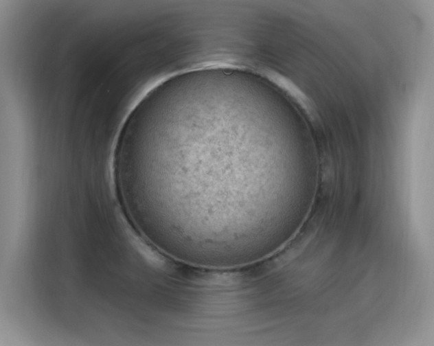 X0000115851423200911201604