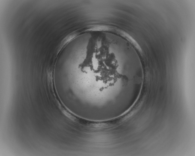 X0000115851425200911201604