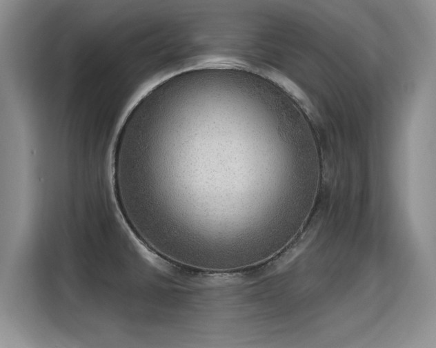 X0000115851430200911201604