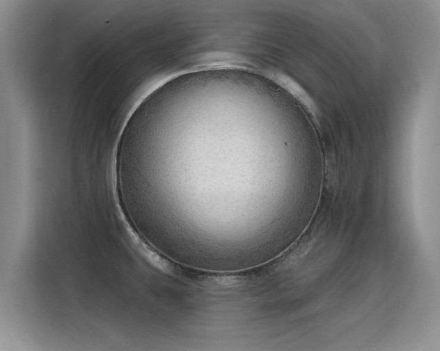 X0000115851431200911201604
