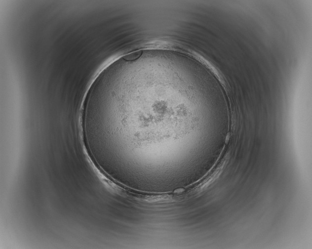 X0000115851434200911201604