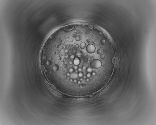 X0000115851435200911201604