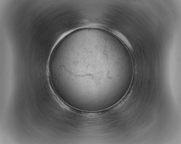 X0000115851436200911201604