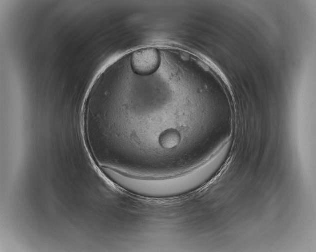 X0000115851437200911201604