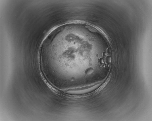 X0000115851438200911201604