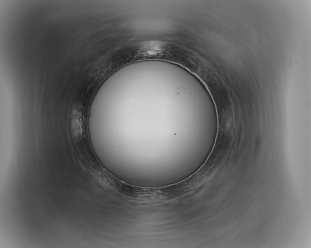 X0000115851442200911201603