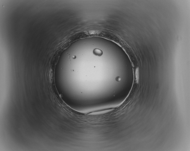 X0000115851443200911201603