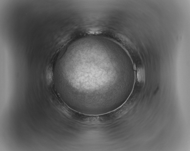 X0000115851444200911201603