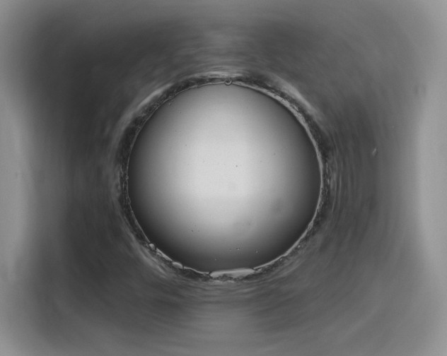 X0000115851448200911201603