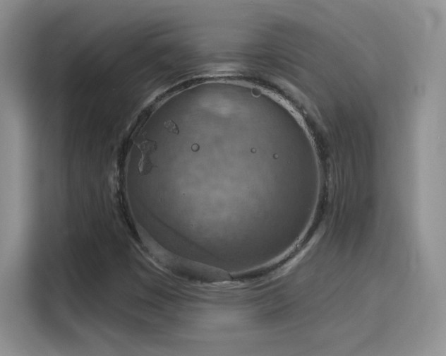 X0000115851449200911201603