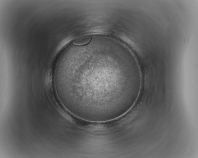 X0000115851450200911201603