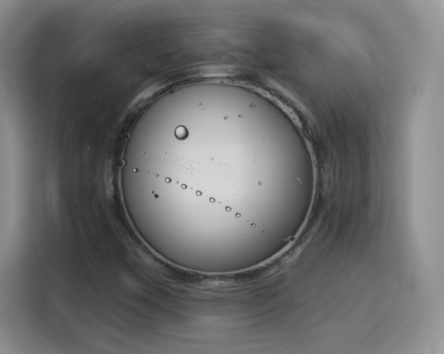 X0000115851451200911201603