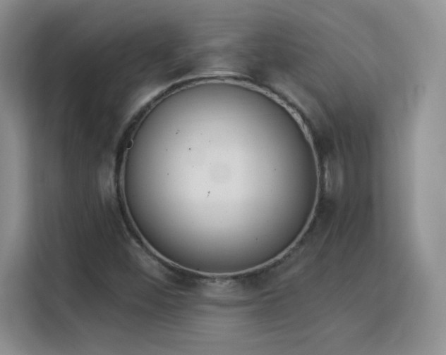 X0000115851452200911201603