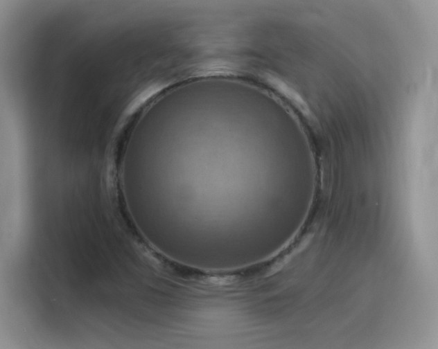 X0000115851453200911201603