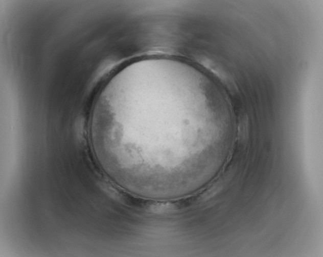 X0000115851454200911201603