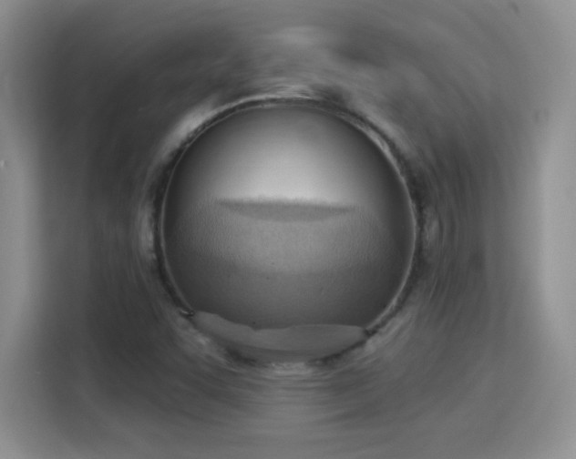 X0000115851455200911201603