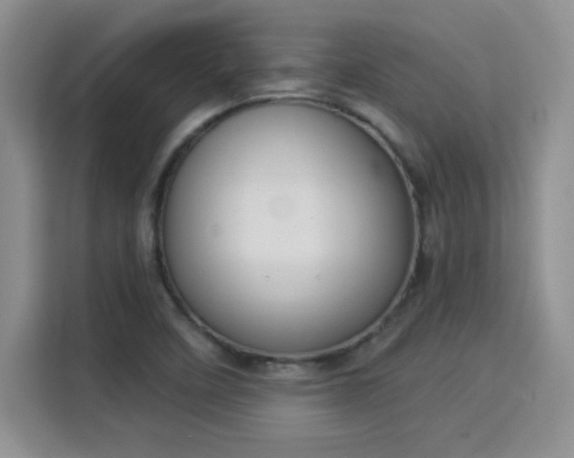 X0000115851458200911201603