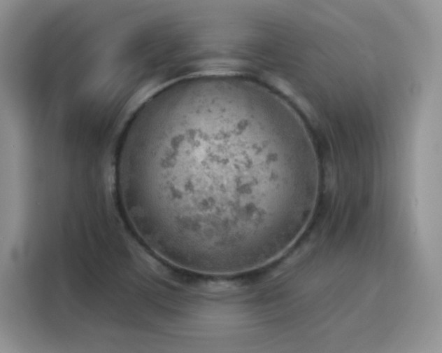 X0000115851459200911201603