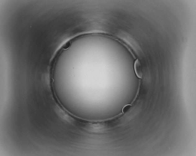 X0000115851460200911201603