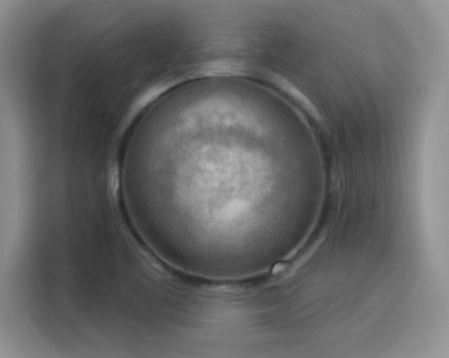 X0000115851461200911201603
