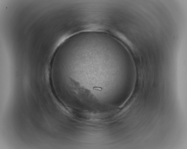 X0000115851463200911201603