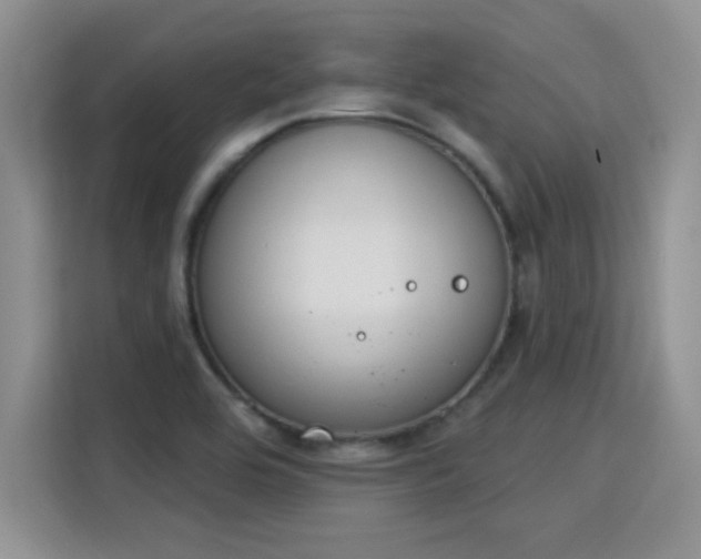 X0000115851464200911201603