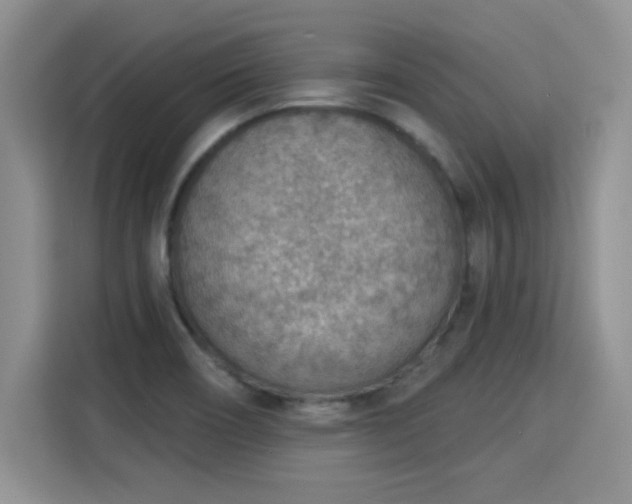 X0000115851466200911201603