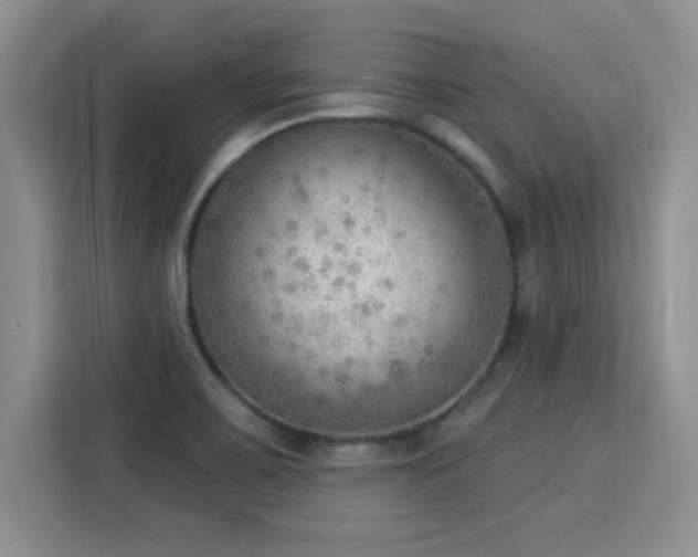X0000115851467200911201603
