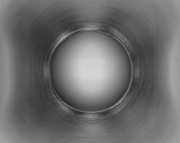 X0000115851473200911201603