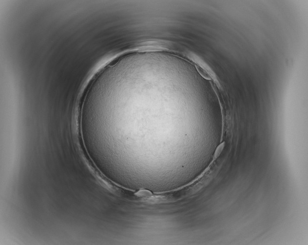 X0000115851477200911201603