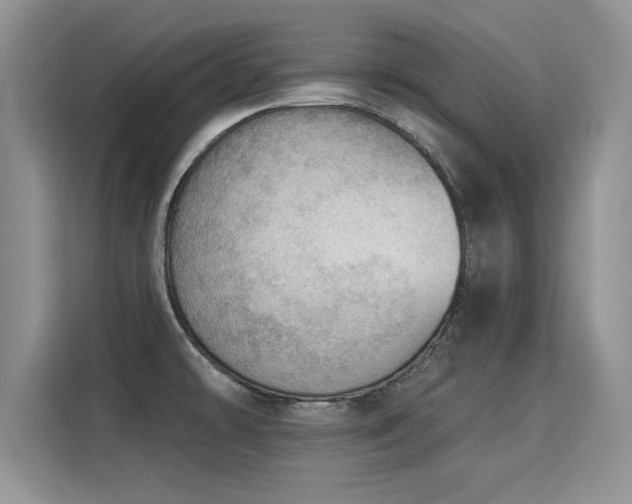 X0000115851478200911201603