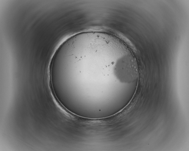 X0000115851479200911201603