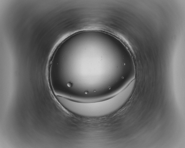 X0000115851480200911201603