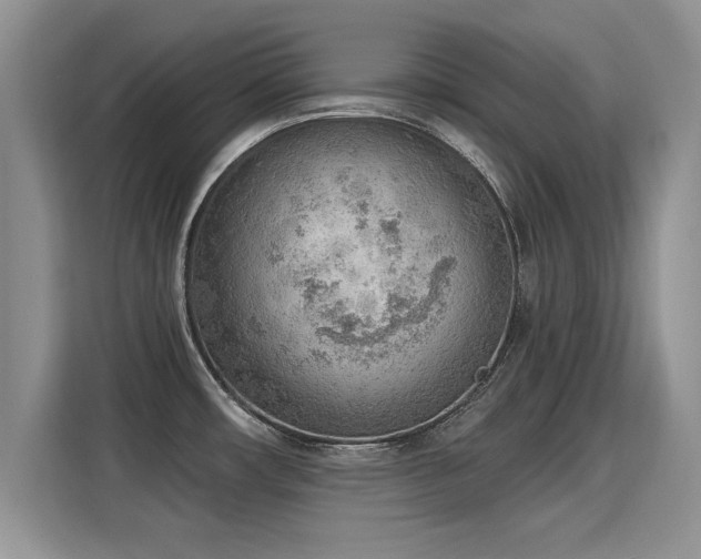 X0000115851482200911201603