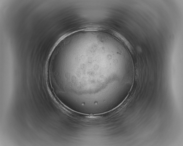 X0000115851483200911201603