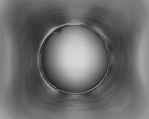 X0000115851484200911201603