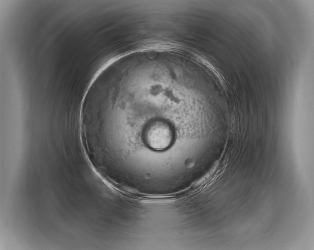 X0000115851487200911201603