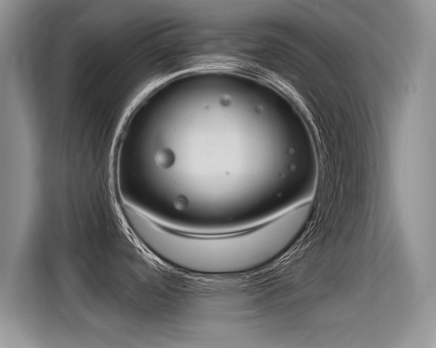 X0000115851488200911201603