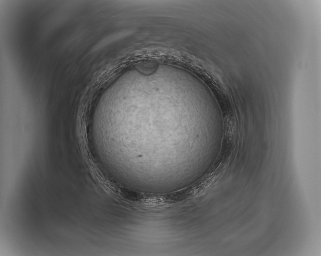 X0000115851489200911201602