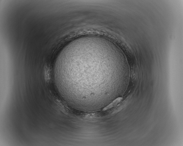 X0000115851490200911201602