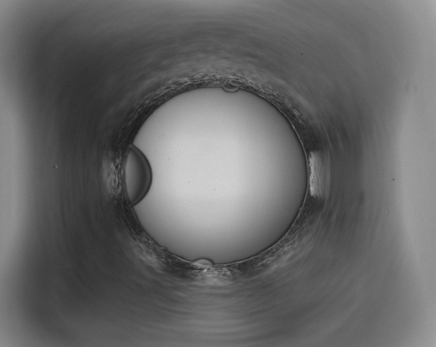X0000115851491200911201602
