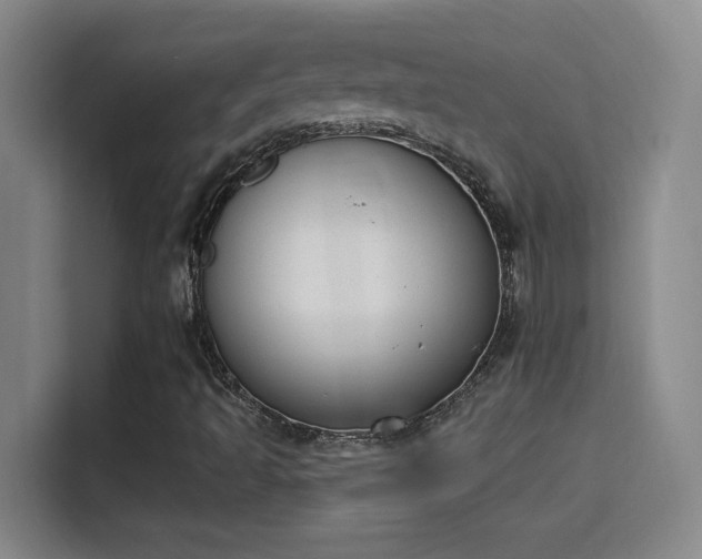 X0000115851493200911201602