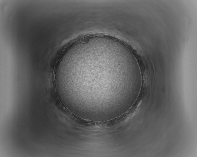 X0000115851494200911201602