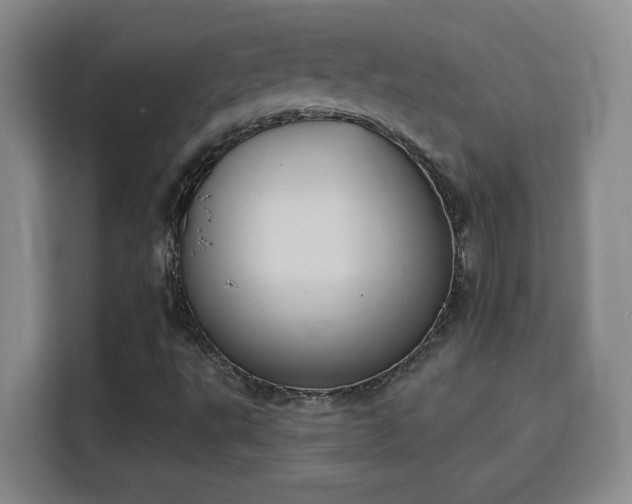 X0000115851495200911201602