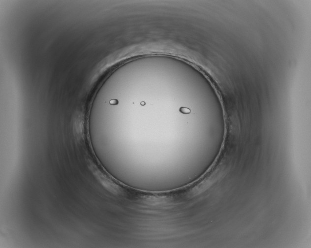 X0000115851499200911201602