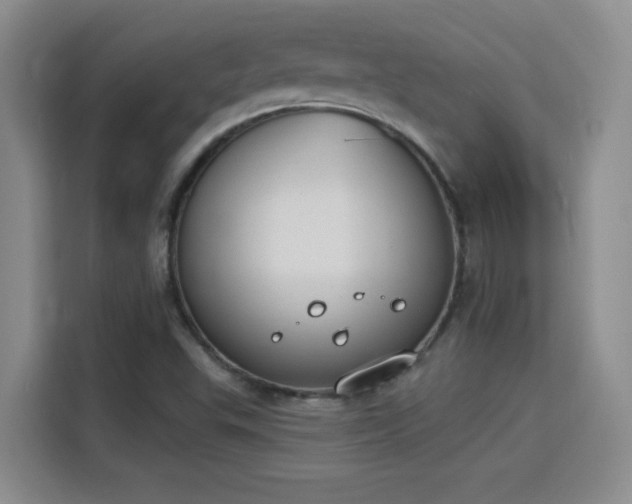 X0000115851503200911201602